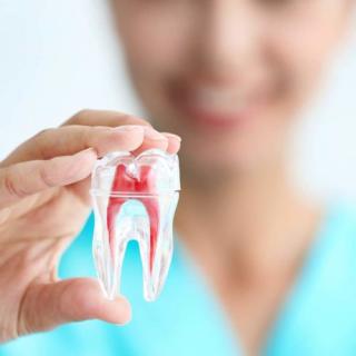 endodontiya - заболевание корневых каналов endodontiya